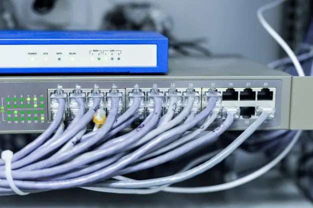 Cables de internet conectados a switch